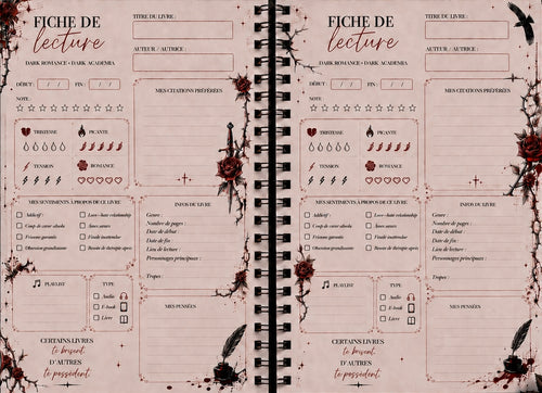 Journal de lecture DARK ACADEMIA